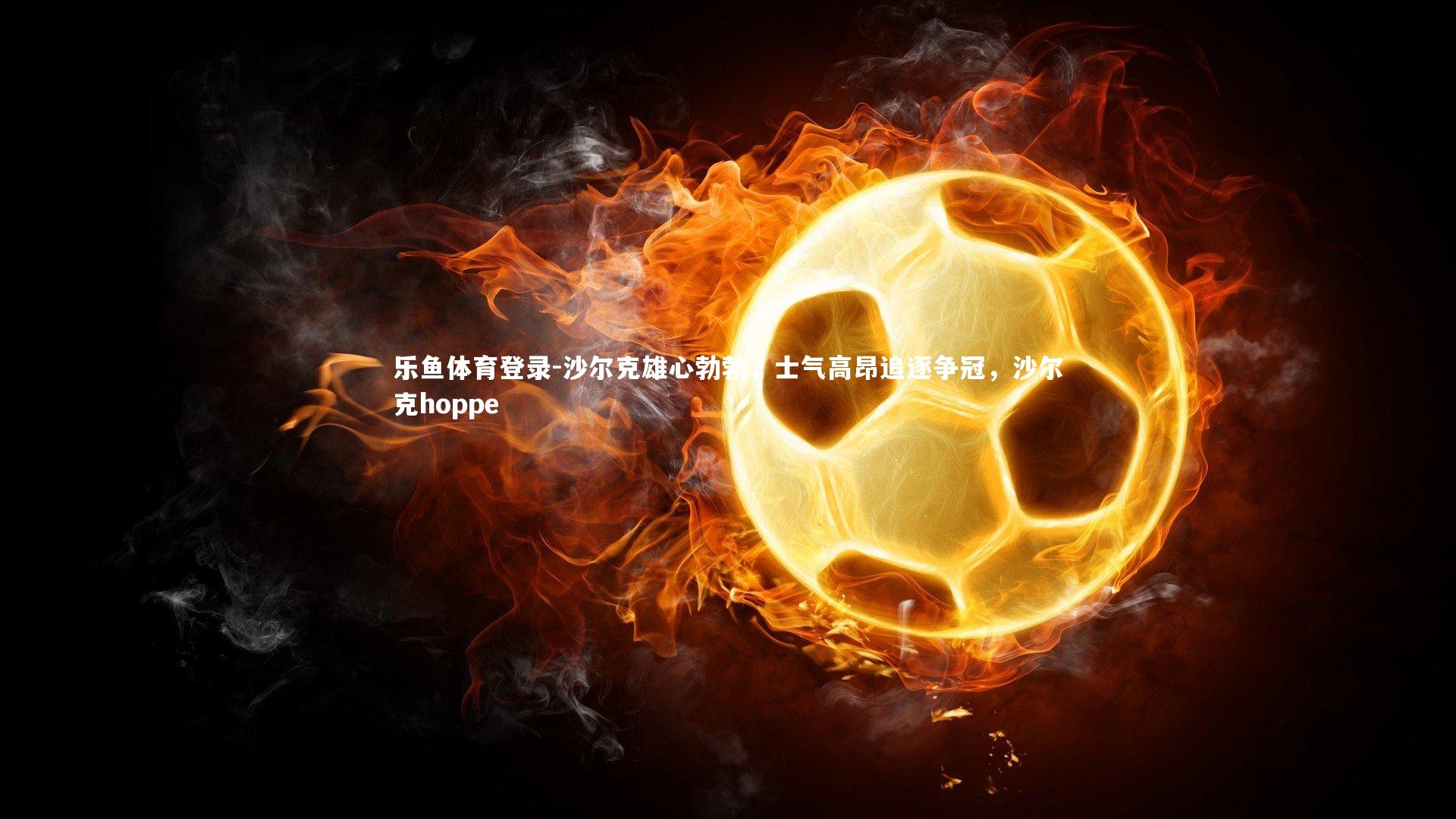 沙尔克雄心勃勃，士气高昂追逐争冠，沙尔克hoppe