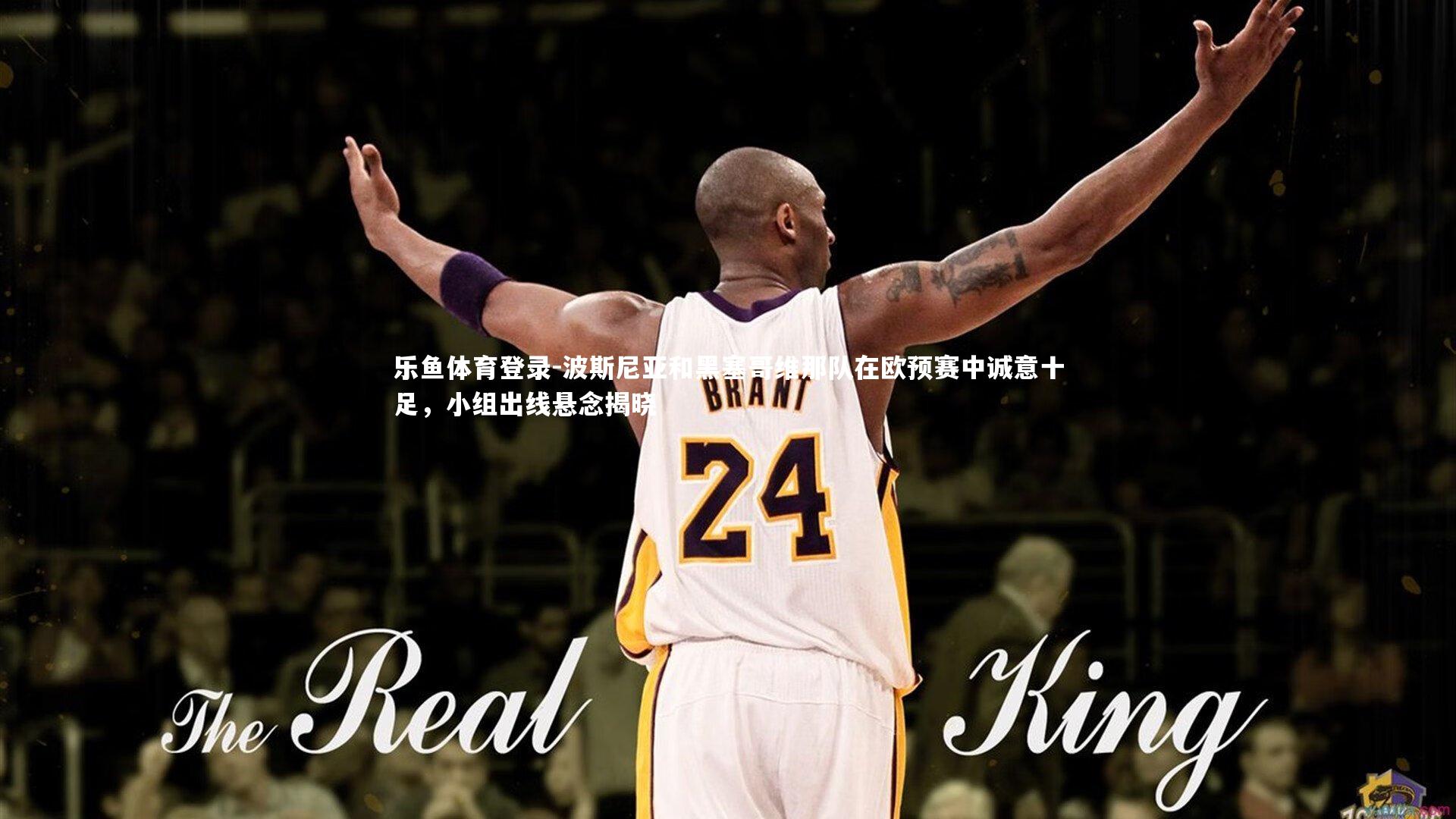 乐鱼体育登录-波斯尼亚和黑塞哥维那队在欧预赛中诚意十足，小组出线悬念揭晓